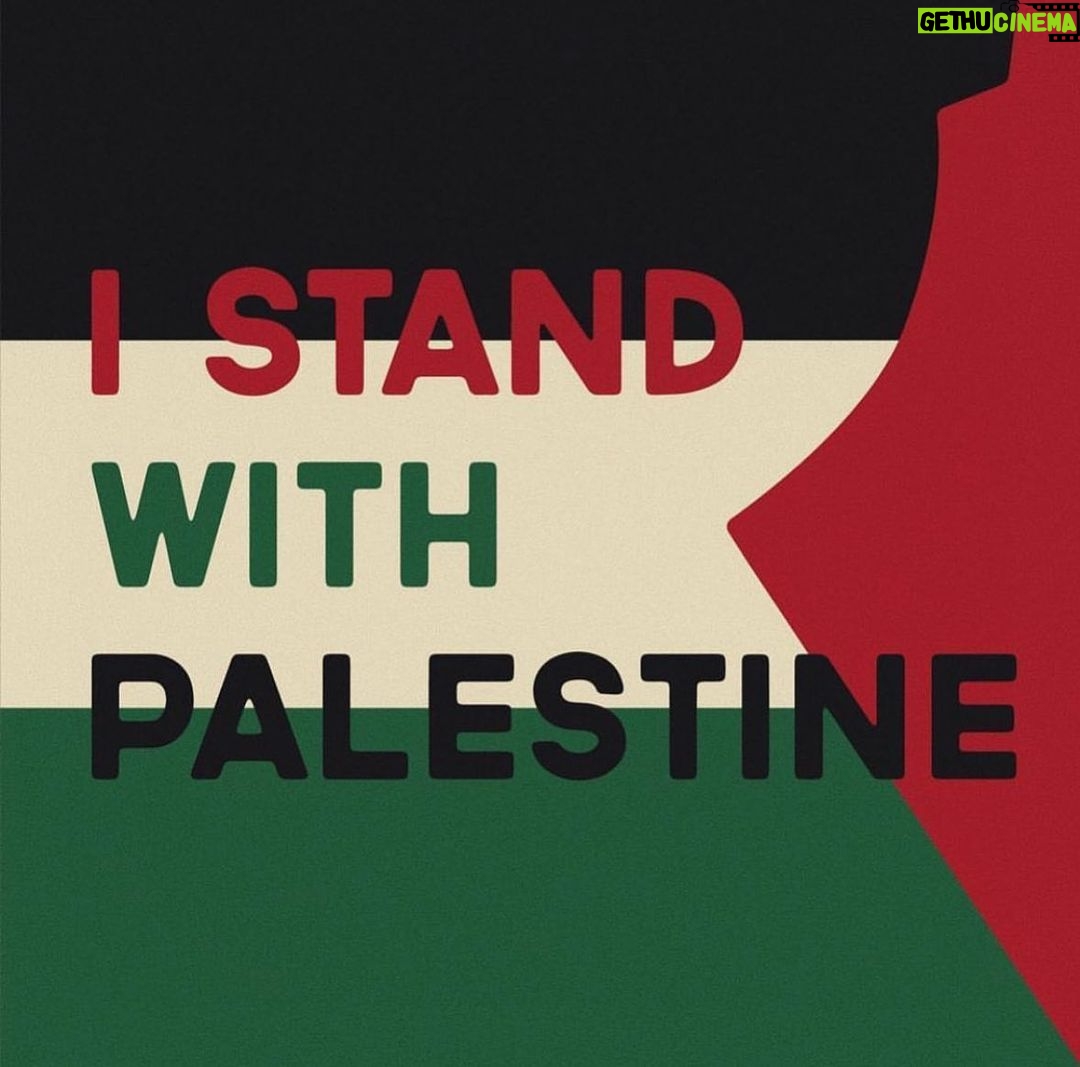 Yasmin Raeis Instagram - #freepalestine #palestine #istandwithpalestine #istandwithpalestine #istandwithpalestine