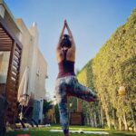 Yasmin Raeis Instagram - #justbreathe #breath #treepose #vrikshasana 🌲💚