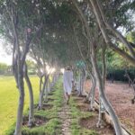 Yasmin Raeis Instagram - 🌴🌴💚 🤫🤫 #nofilter #noedit #row #nophotoshop #mood