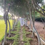 Yasmin Raeis Instagram - 🌴🌴💚 🤫🤫 #nofilter #noedit #row #nophotoshop #mood