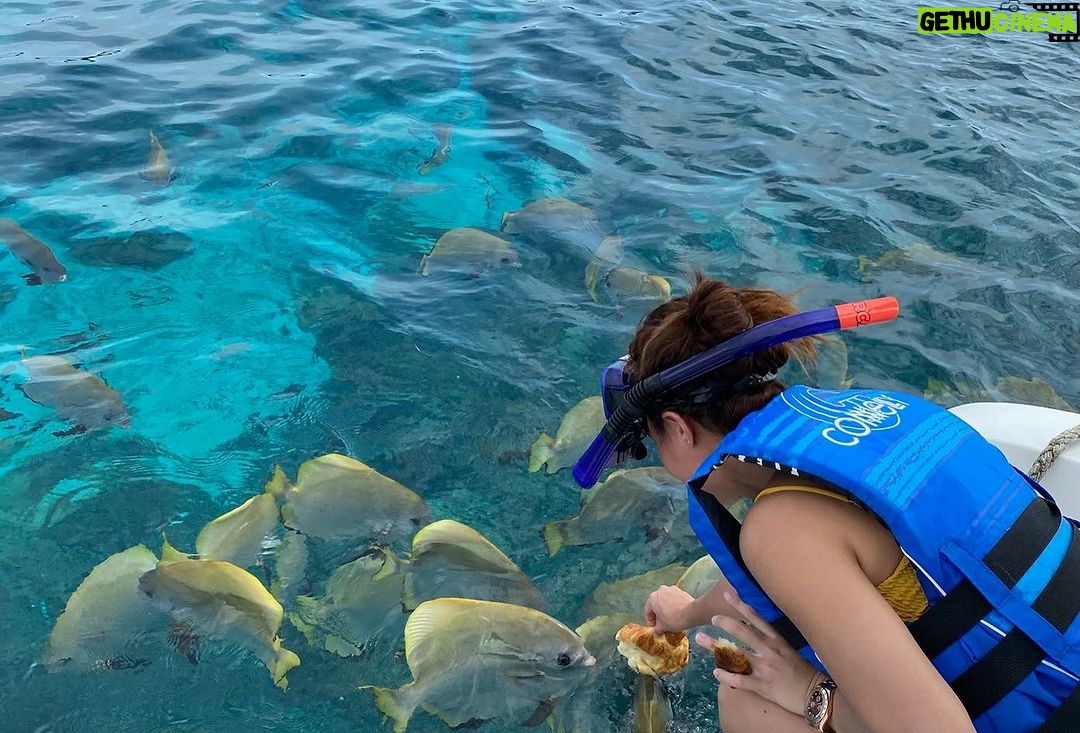 Yassi Pressman Instagram - it’s okay to be afraid, because without fear there is no bravery.