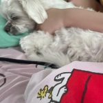 Yeri Instagram - May and June 🥵dump