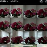 Yeri Instagram - happy valentine