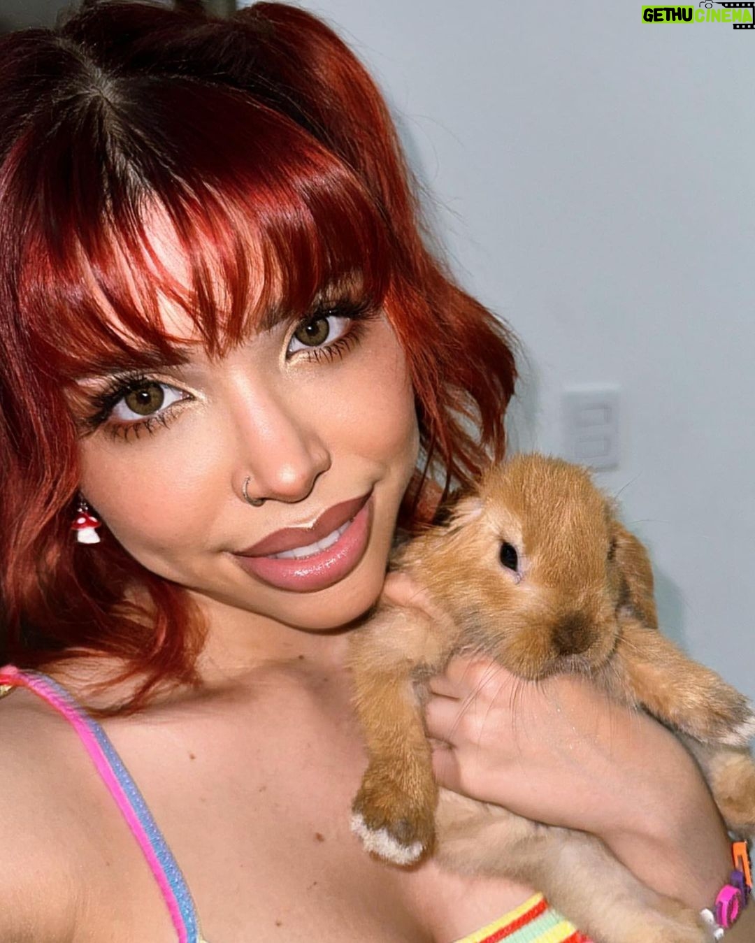 Yeri Mua Instagram - Tu conejita Lola 🫦🐰🐇✨ Veracruz