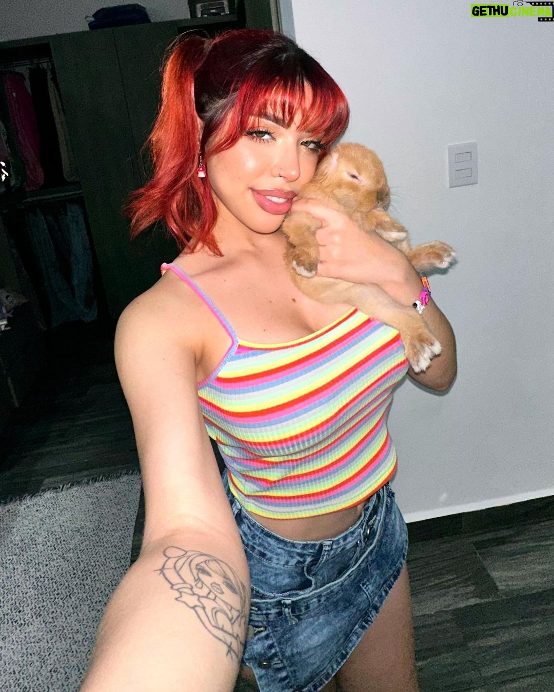 Yeri Mua Instagram - Tu conejita Lola 🫦🐰🐇✨ Veracruz