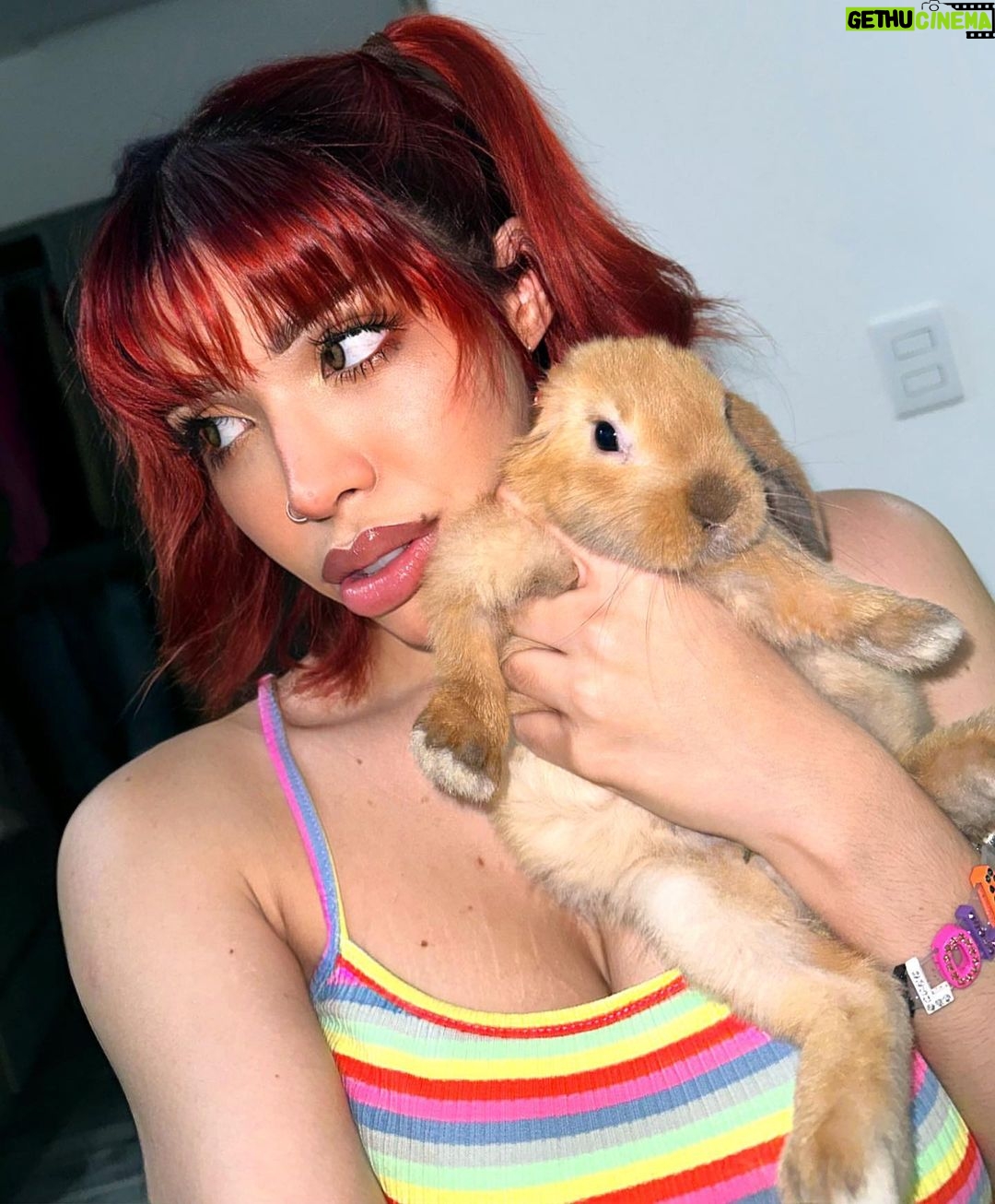 Yeri Mua Instagram - Tu conejita Lola 🫦🐰🐇✨ Veracruz