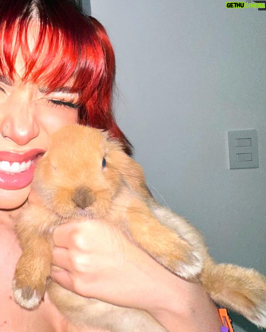 Yeri Mua Instagram - Tu conejita Lola 🫦🐰🐇✨ Veracruz