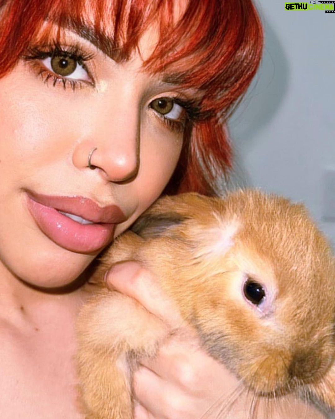 Yeri Mua Instagram - Tu conejita Lola 🫦🐰🐇✨ Veracruz
