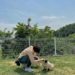 Yoo Yeon-seok Instagram - 사랑스런 우리 영화 주인공들 🐶❤️