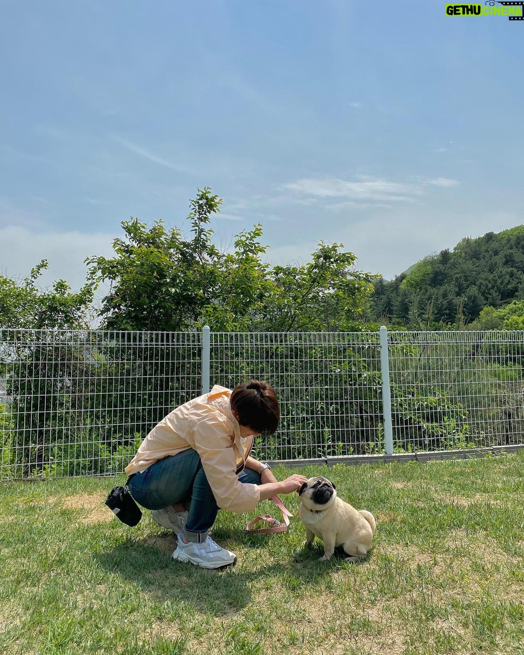 Yoo Yeon-seok Instagram - 사랑스런 우리 영화 주인공들 🐶❤️