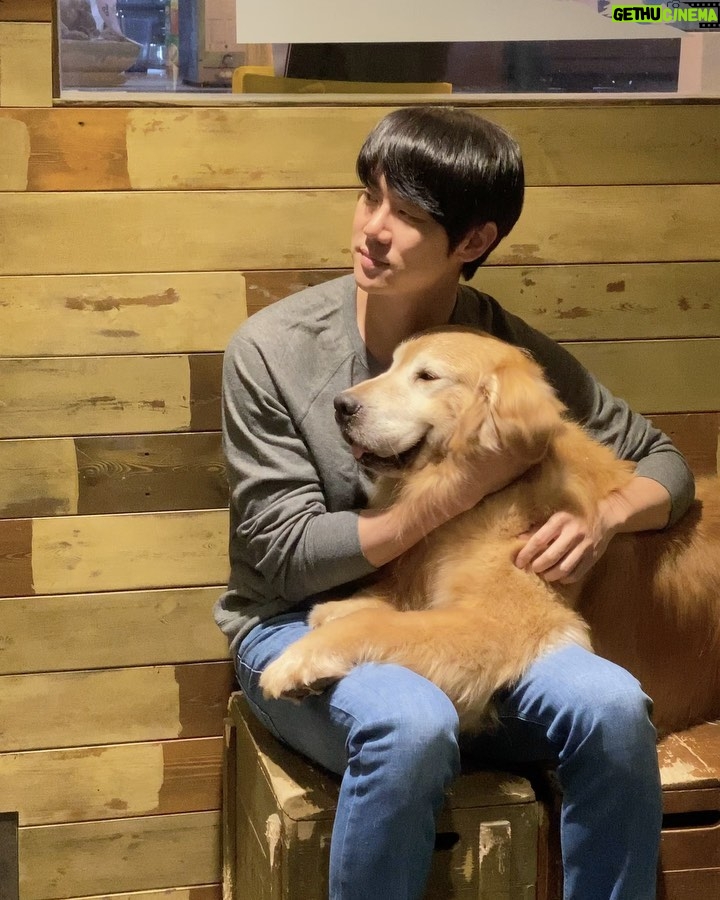 Yoo Yeon-seok Instagram - 사랑스런 우리 영화 주인공들 🐶❤️