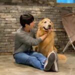 Yoo Yeon-seok Instagram - 사랑스런 우리 영화 주인공들 🐶❤️