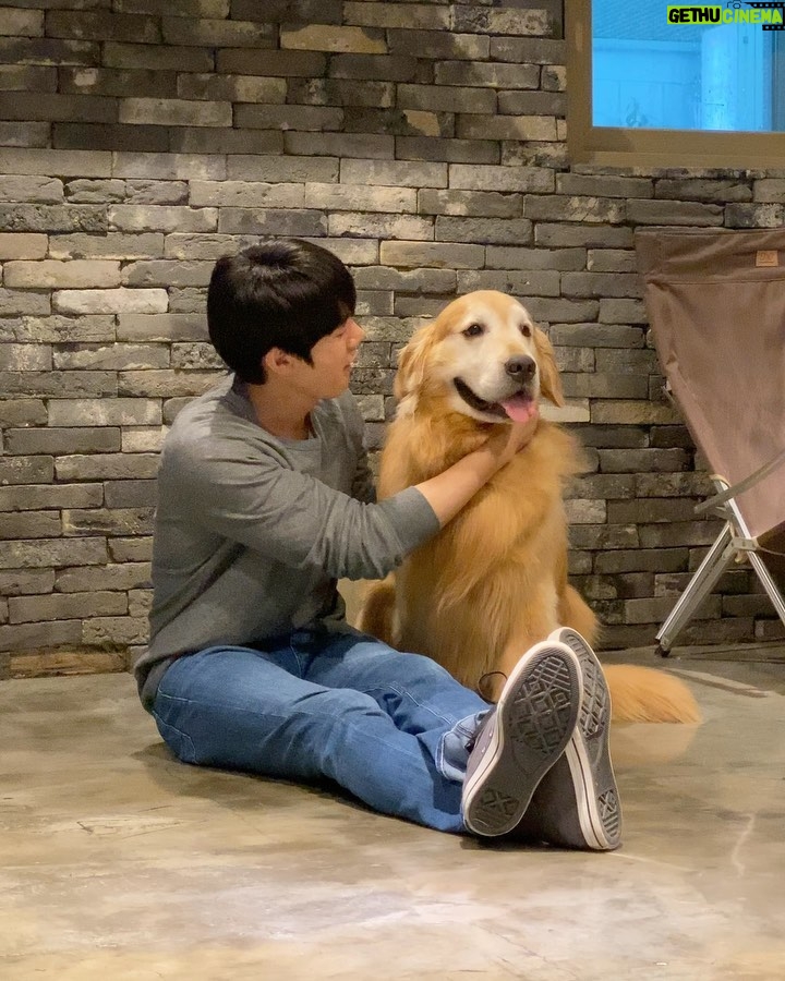 Yoo Yeon-seok Instagram - 사랑스런 우리 영화 주인공들 🐶❤️