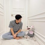 Yoo Yeon-seok Instagram - 오늘은 사랑스런 리타의 생일이랍니다! 오늘로서 리타를 입양한지 1년이 된 날이기도 합니다! 리타의 정확한 출생일을 몰라서 반려견 등록할때 입양일을 출생일로 등록했어요. 리타야 내 곁에 와줘서 고맙고 사랑해 💕 리타 생일 함께 축하해준 모든 분들 감사합니다!