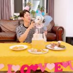 Yoo Yeon-seok Instagram - 오늘은 사랑스런 리타의 생일이랍니다! 오늘로서 리타를 입양한지 1년이 된 날이기도 합니다! 리타의 정확한 출생일을 몰라서 반려견 등록할때 입양일을 출생일로 등록했어요. 리타야 내 곁에 와줘서 고맙고 사랑해 💕 리타 생일 함께 축하해준 모든 분들 감사합니다!