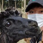 Yook Sung-jae Instagram - 🦙🤎🖤