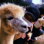 Yook Sung-jae Instagram - 🦙🤎🖤