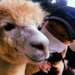 Yook Sung-jae Instagram - 🦙🤎🖤