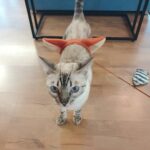 Yook Sung-jae Instagram – ㅋㅋㅋㅋㅋㅋㅋㅋㅋㅋㅋㅋㅋㅋ
미안하지만 너무 귀엽구나