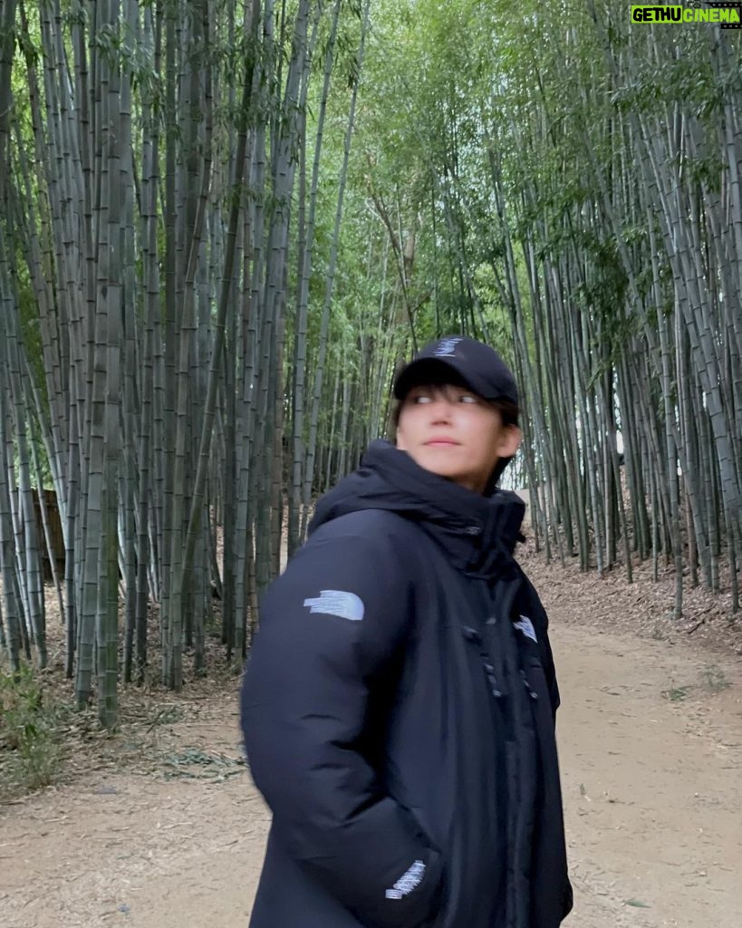 Yoon Jeong-han Instagram - 대나무 길 산책🎋