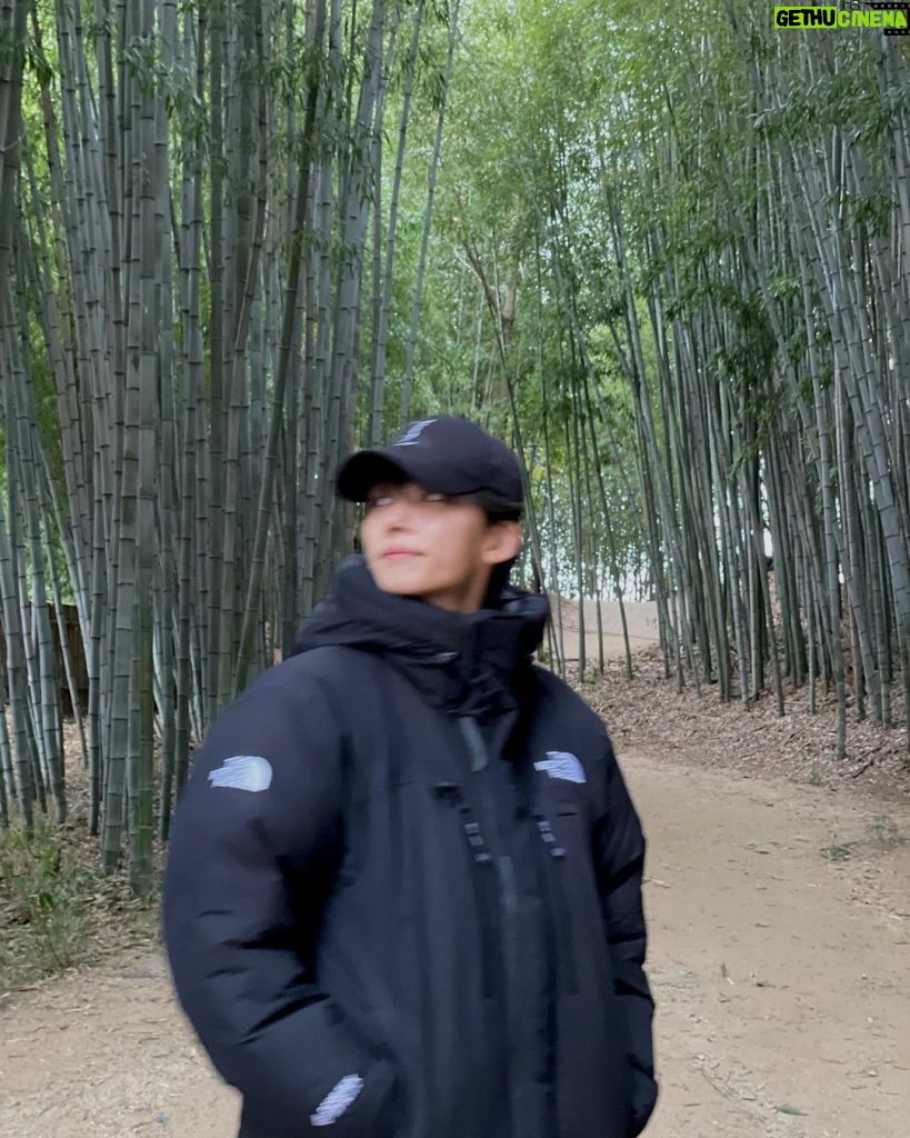 Yoon Jeong-han Instagram - 대나무 길 산책🎋