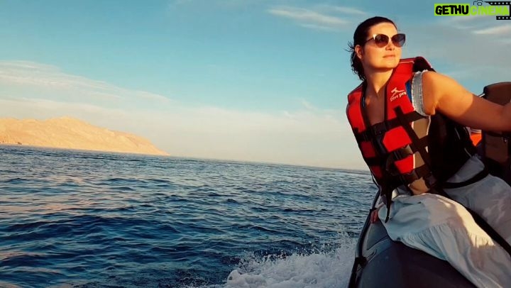 Yosra El Lozy Instagram - My last sunset in beautiful Sinai 🌊 The dolphins made it perfect 🐬🐬 Can't wait to experience this amazing feeling again 🌞 Thank you TATA @sinaiblues @fssharmelsheikh 📷 @tarekazizofficial #sharmelsheikh #egypt #sinai #redsea #wildlife #marinelife #dolphins #beautiful #sunset #cruise أحلى غروب مع أصدقائي الدرافيل 🌞🐬 إحساس ما يتوصفش.. Four Seasons Resort Sharm El Sheikh, Egypt