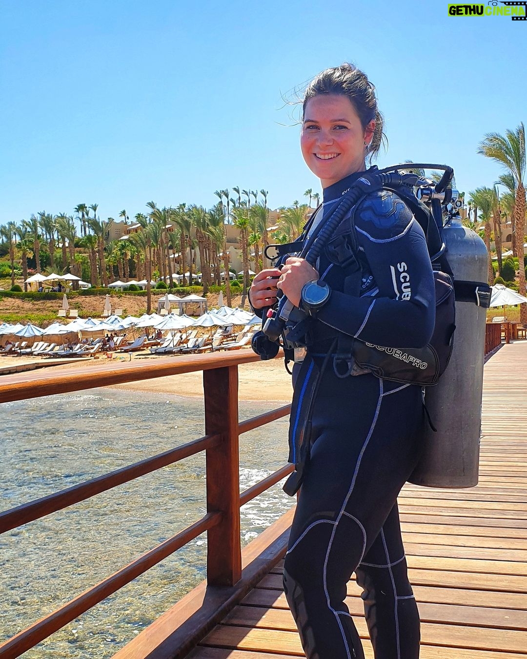 Yosra El Lozy - 66.2K Likes - And finally, after 8 years and 2 babies, I went diving again! Such an amazing feeling to escape the world and enjoy marine life! Thank you @sinaiblues & @fssharmelsheikh you're simply the best 👌
📷 @tarekazizofficial
#sharmelsheikh #sinai #redsea #egypt
ً بعد ٨ سنين و طفلتين، رجعت أغطس تانى...تقريباً تحت المياه ده المكان الوحيد اللى معنديش فيه مسؤوليات (غير طبعاً الحفاظ على الشعب المرجانية والحياة البحرية) 🐟🐙🐠🐬
#شرم_الشيخ