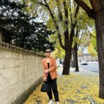 Yuanita Christiani Instagram - Autumn is a gentle reminder that changes can be beautiful🍁🍂 Seoul, South Korea