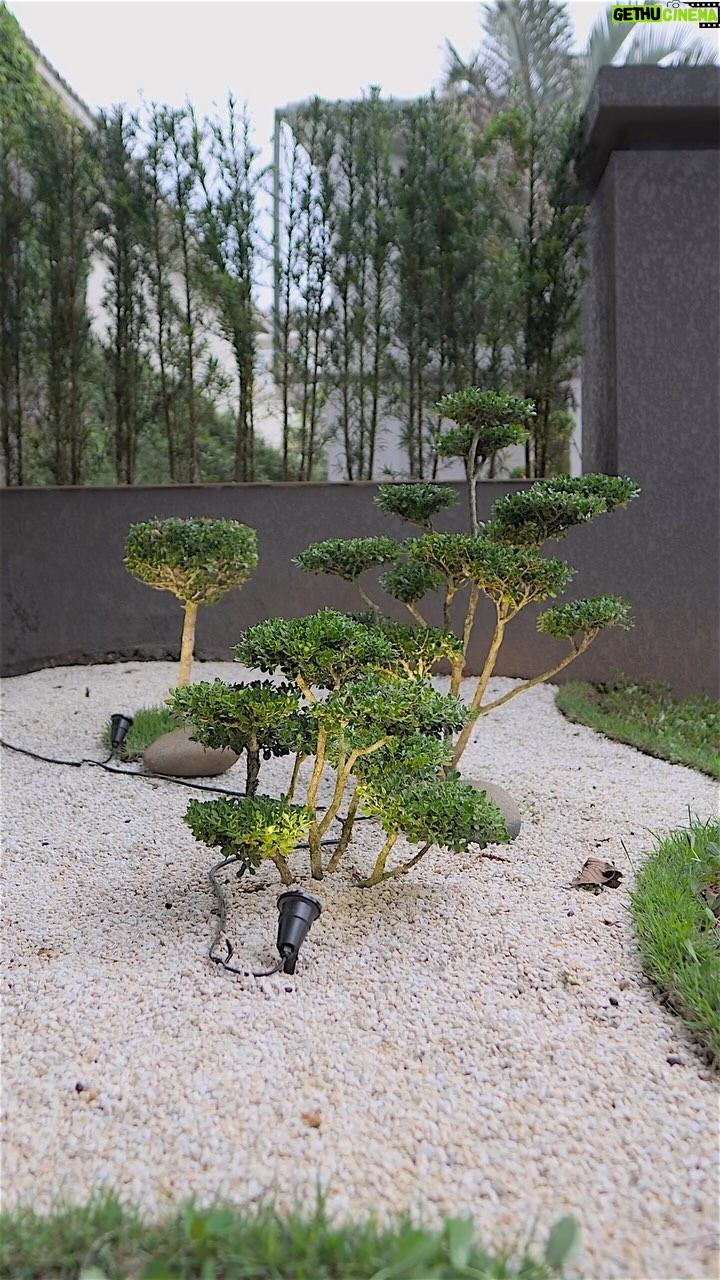 Yudi Tamashiro Instagram - Começamos esta série de antes e depois da casa destacando a parte externa. Para quem não se lembra, nos casamos neste jardim durante a bagunça da construção. Naquele momento, já estávamos felizes pela aliança, pela festa simples e pela oportunidade de imaginar como seria a casa. Agora que está pronta, nosso coração transborda de alegria ao ver que Deus foi generoso ao colocar pessoas tão boas em nossas vidas, dispostas a nos ajudar e a viajar nas nossas ideias. Queremos agradecer à @engenhariamajime sócio do meu pai e que embarcou com a gente nessa. Obrigado @jardins.ciasp pelo trabalho incrível. Cada referência que trouxemos do Japão foi aprimorada por eles, e cada cantinho da casa ficou do jeito que desejávamos. Que Deus continue abençoando a empresa de vocês. Agradecemos também ao Roberto da @polomarmores que nos apresentou a empresa @tajrevestimentos responsável pelas pedras da piscina que deram charme à casa. São muitas lembranças da construção que poderíamos passar o dia escrevendo, mas haverá outros vídeos para compartilhar com vocês. Obrigado a todos ❤️ Vídeo: @paulorfcamargo @mellicamargo 🎥 VOCÊ CURTIU ESSE ANTES E DEPOIS??? Alphaville