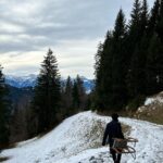 Yuki Tsunoda Instagram - Merry Christmas🦌🛷