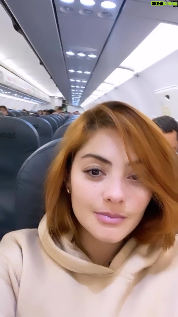 Yuri Vargas Instagram - #Tbt De Nuestro regreso de Cuidad de mexico 🇲🇽 ✈️🇨🇴♥️♥️ Quiero contarles la experiencia que vivimos con @vivaaerobus compañía Mexicana maravillosa para viajar con nuestros Gatos con la mejor asesoría de @mascotasflygo 🙏🙏 @jimmunoz1 ♥️ y la compañera se llama @valery_melolopez ♥️♥️