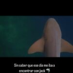 Yuri Vargas Instagram - Nadar Con Tiburones check ✅ ¿Lo harían ?