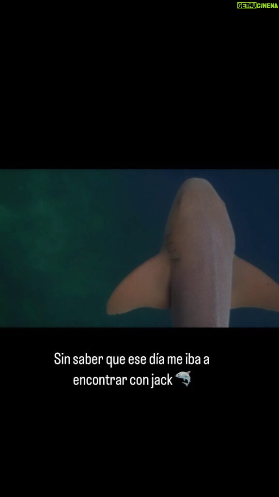 Yuri Vargas Instagram - Nadar Con Tiburones check ✅ ¿Lo harían ?