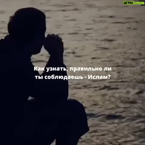 Zabit Magomedsharipov Instagram -