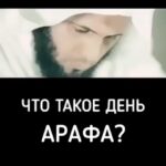 Zabit Magomedsharipov Instagram -