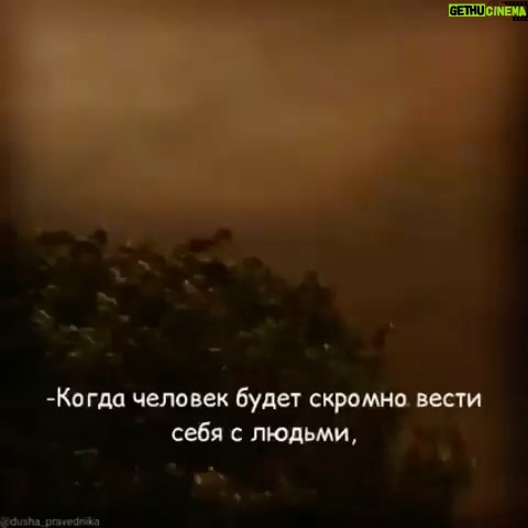 Zabit Magomedsharipov Instagram - ..