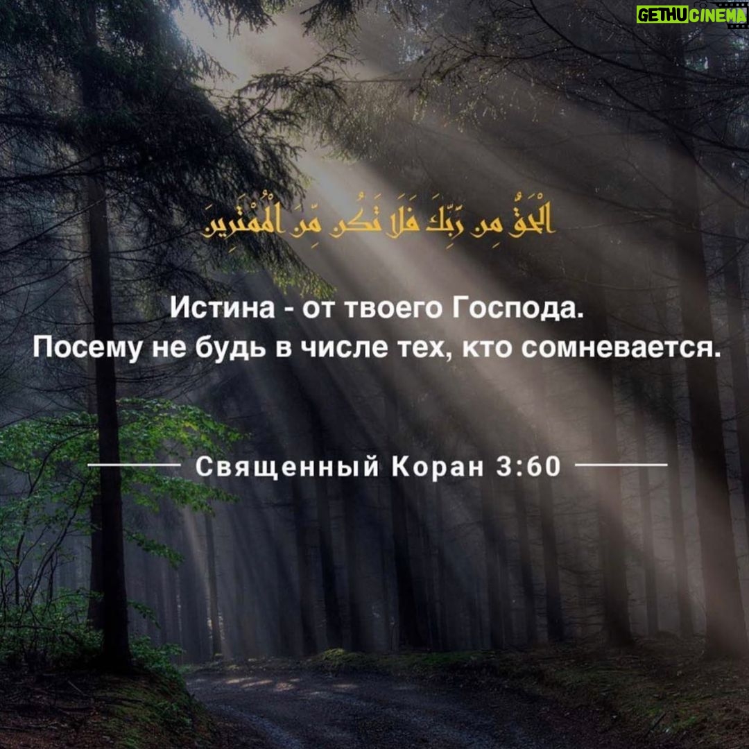 Zabit Magomedsharipov Instagram -