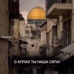 Zabit Magomedsharipov Instagram - О Аллах! Сохрани же наших братьев и сестер от сионистов и притеснителей. О Аллах! сохрани нашу святыню аль-Аксу