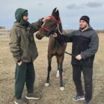 Zabit Magomedsharipov Instagram - Были спортсмены - стали фермеры😂 @rustam_khabilov @magomedov_tiger @rasul8047666