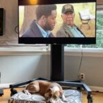 Zach Braff Instagram - Editing “A Good Person” at my house. Now on @primevideo somewhere between #1 and #3 depending on when I refresh. Haha. Please check it out. 🙏🏼❤️🙏🏼❤️