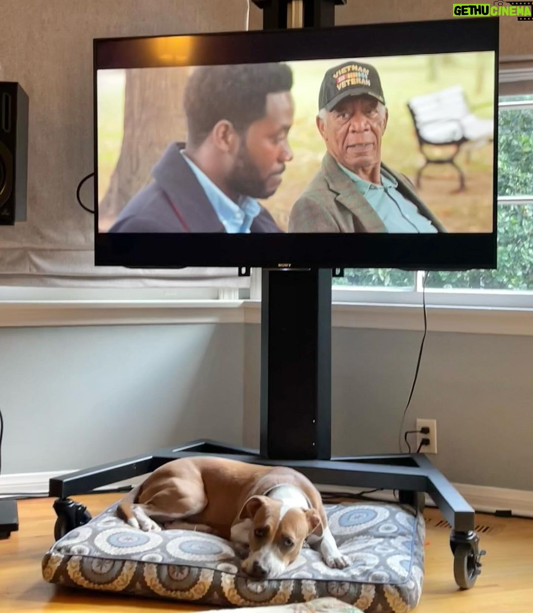 Zach Braff Instagram - Editing “A Good Person” at my house. Now on @primevideo somewhere between #1 and #3 depending on when I refresh. Haha. Please check it out. 🙏🏼❤️🙏🏼❤️