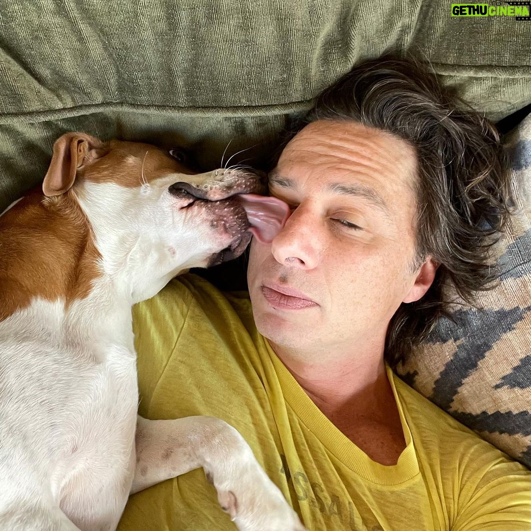 Zach Braff - 39.3K Likes - Happy Sunday.