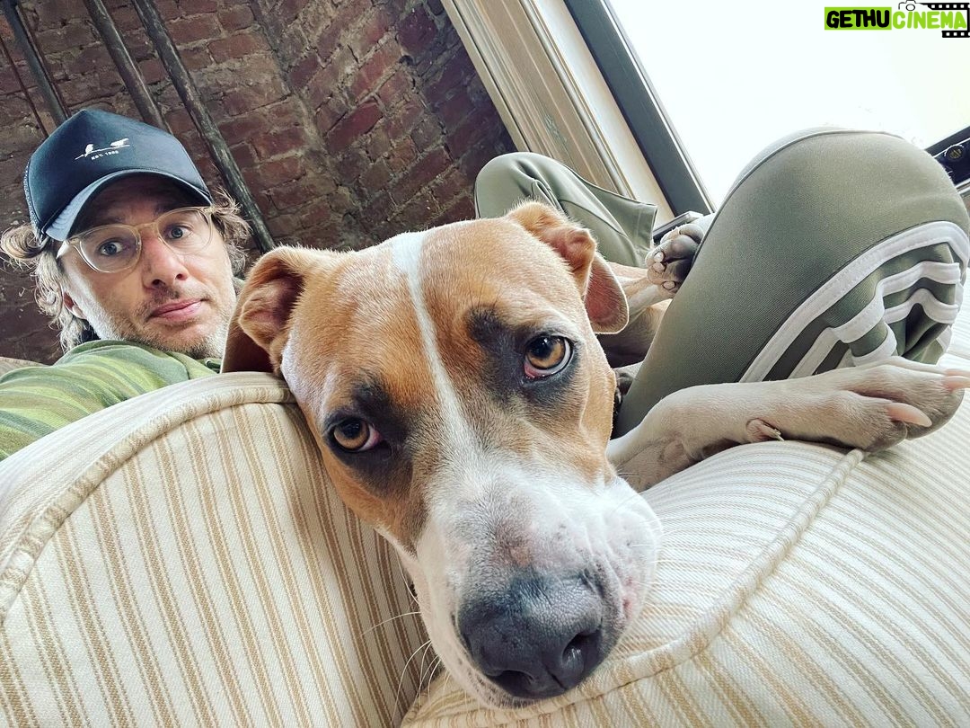 Zach Braff - 46.5K Likes - My baby’s in Manhattan!!!