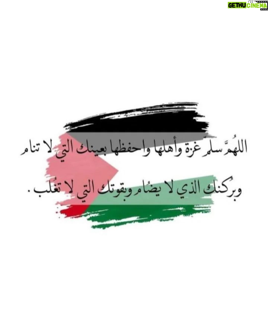 Zahra Arafat - 1.3K Likes - #غزة #فلسطين
