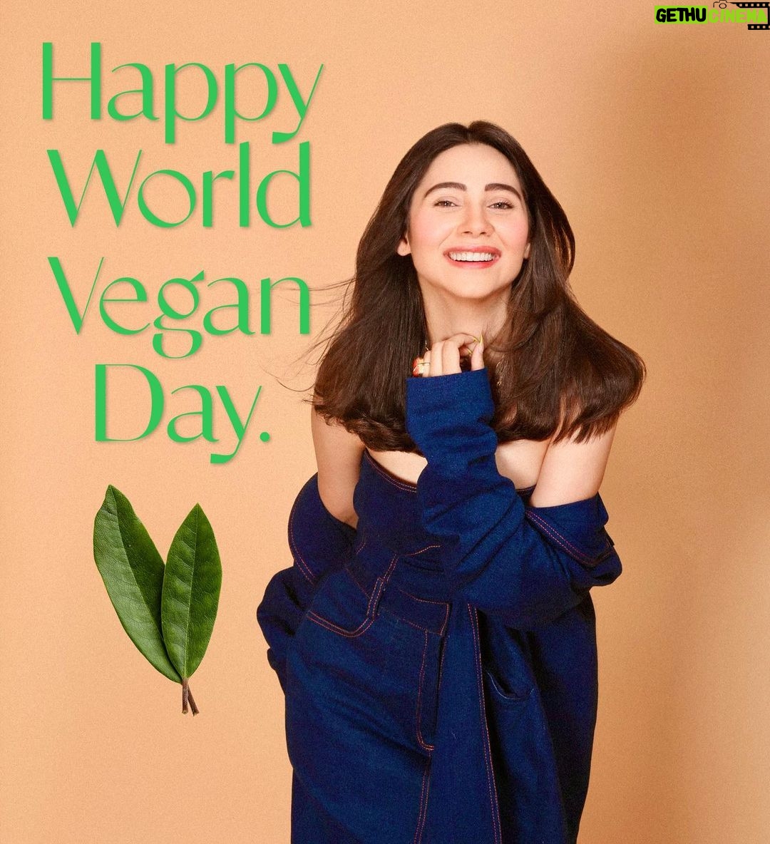 Zara Khan Instagram - Be Compassionate Be Caring Be Loving Be Giving Be #vegan 🫶🏻 Happy World Vegan Day 🌱 . . . Styled by @hitendrakapopara Outfit @nidhiandmahak Jewellery @ethnicandaz Fashion team @sarinabudathoki @tanyakalraaa Shot by @ajayjangidphotography Zahrah’s team @candidly_ish