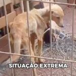 Zezé di Camargo Instagram -