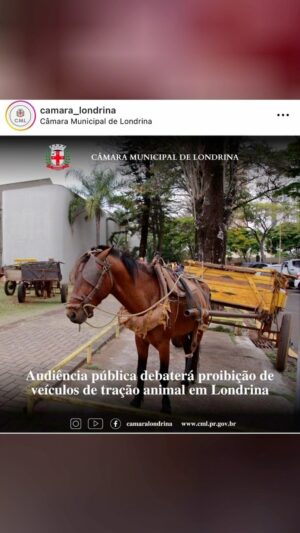 Zezé di Camargo Instagram - Isso tem que ter fim!! Assista ate o final!! @deivid_wisley