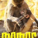 Zoe Saldaña Instagram - Oh yeah!!! Back for season 2 baby!! Mamas of the world!!! Explore the wild through a mother’s eyes. #Mamas Season 2 premieres May 12 on @therokuchannel. Beyond excited! Team @cinestar