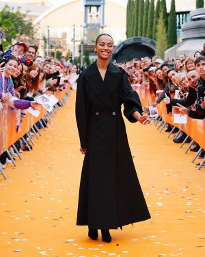 Zoe Saldaña Instagram - The weekend volume #gotg3
Merci Paris!