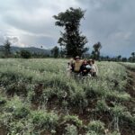 Zoey Deutch Instagram - my sister and i were fortunate enough to gorilla trek in rwanda and uganda 5 years ago. it was impossible to put into words how profound the experience was and we vowed we’d come back with our parents one day. in september, we went on two treks with our mom and dad that were just as transformative and magical as the first. i’m still not able to properly explain how special it is. overflowing with gratitude. thank you for so many things, 2023, and at the top of the list is this unforgettable adventure with the most important people in my life 🦍🇷🇼 Volcanoes National Park, Rwanda